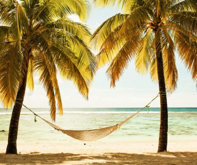 2 Palm trees with hammock at the beach