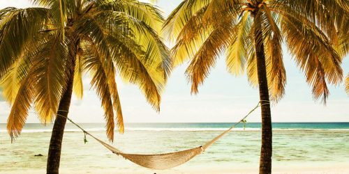 2 Palm trees with hammock at the beach